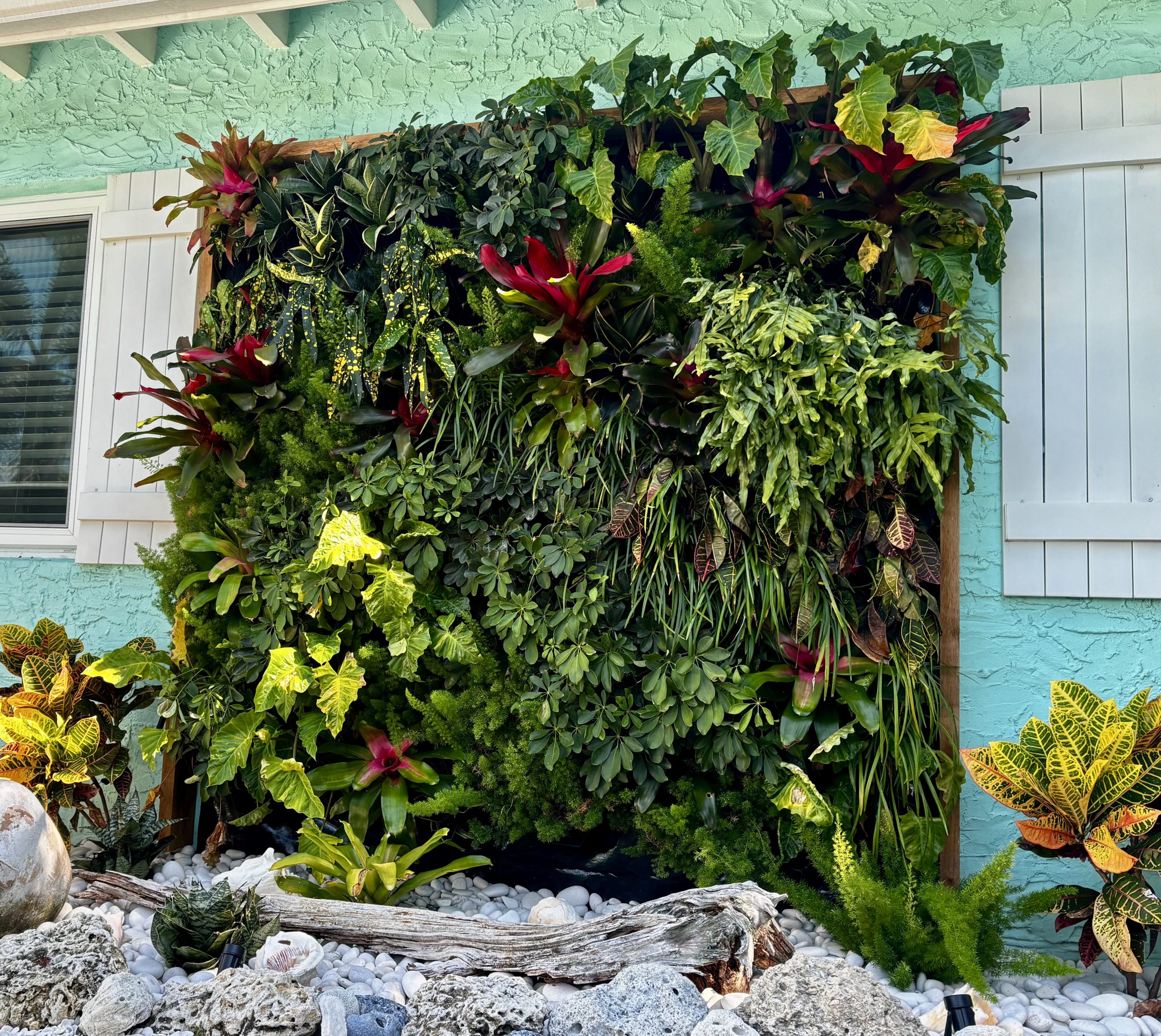 Lush greenwall with tropical plants suitable for South Florida weather